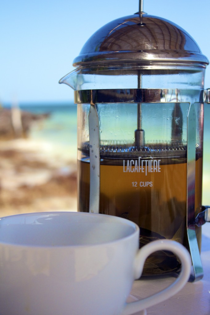 antihistamine guava leaf tea