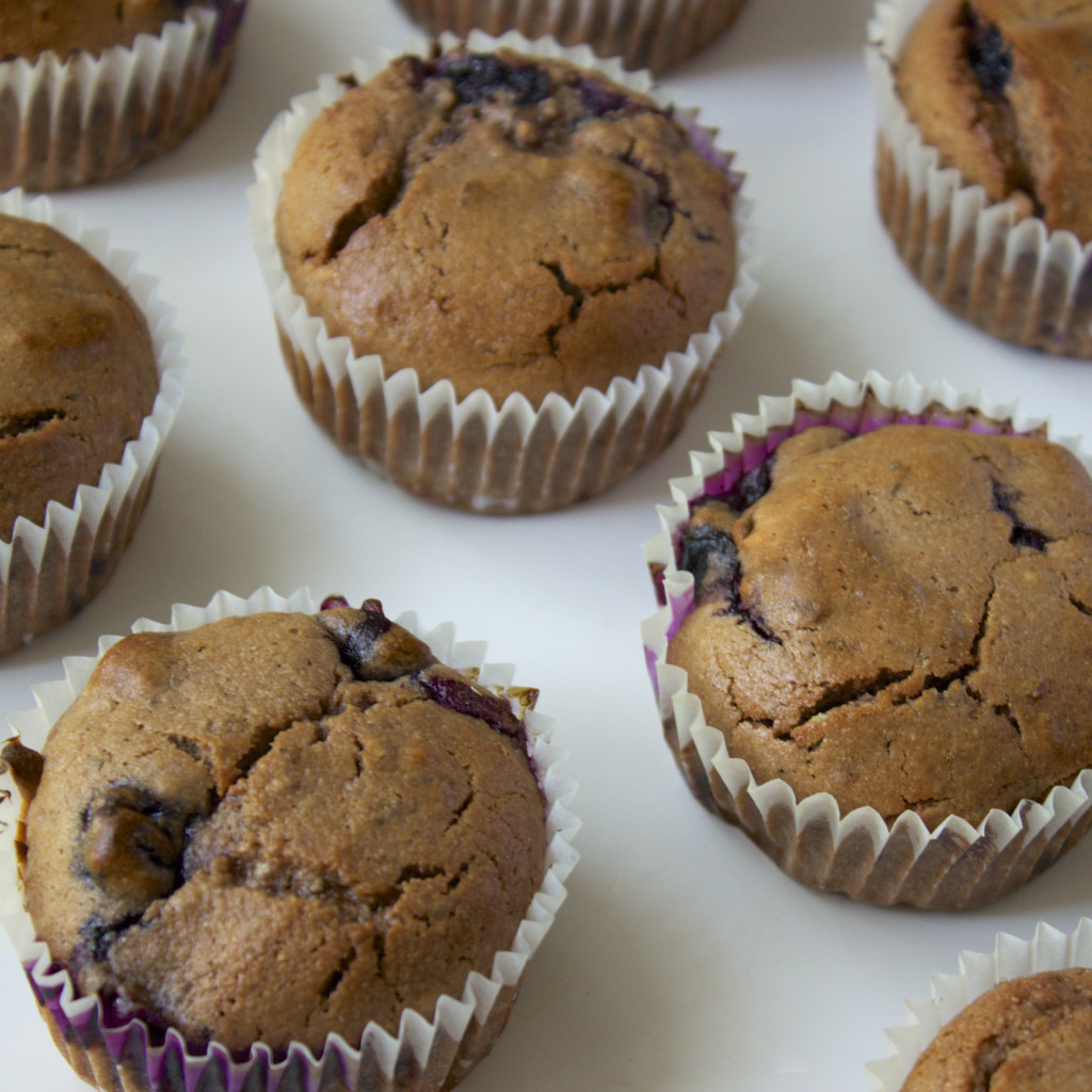 gluten low histamine free blueberry muffins