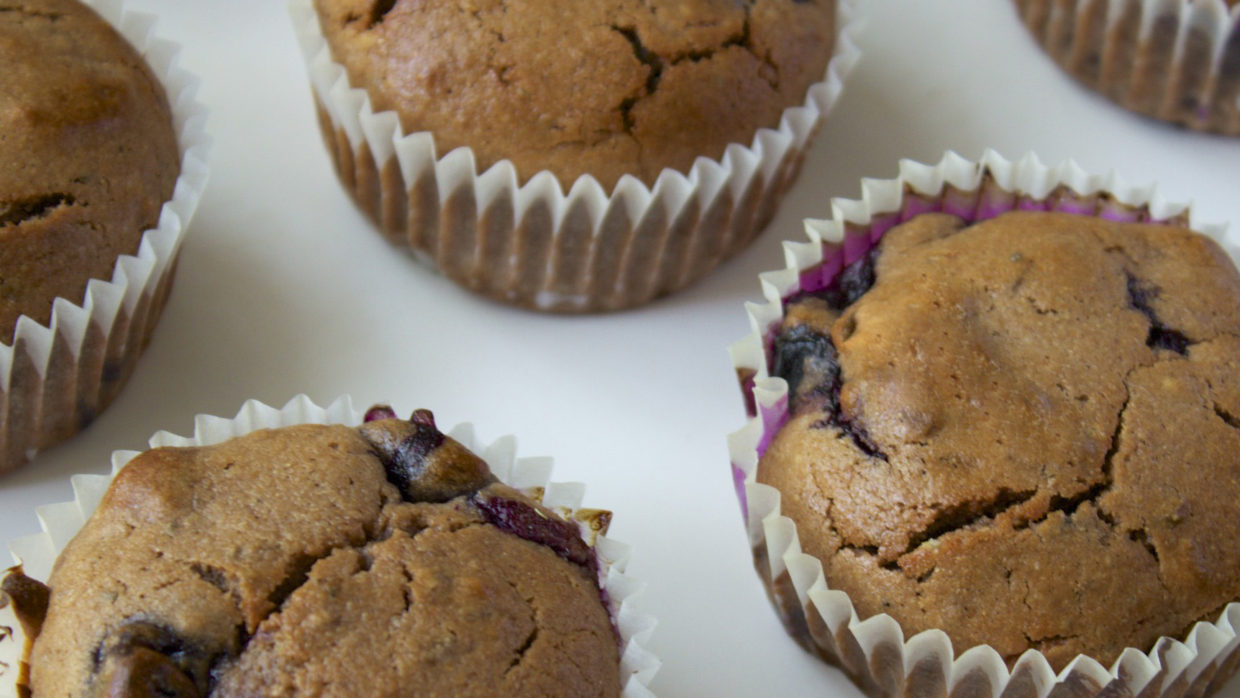 Gluten free blueberry muffins (with vegan option)