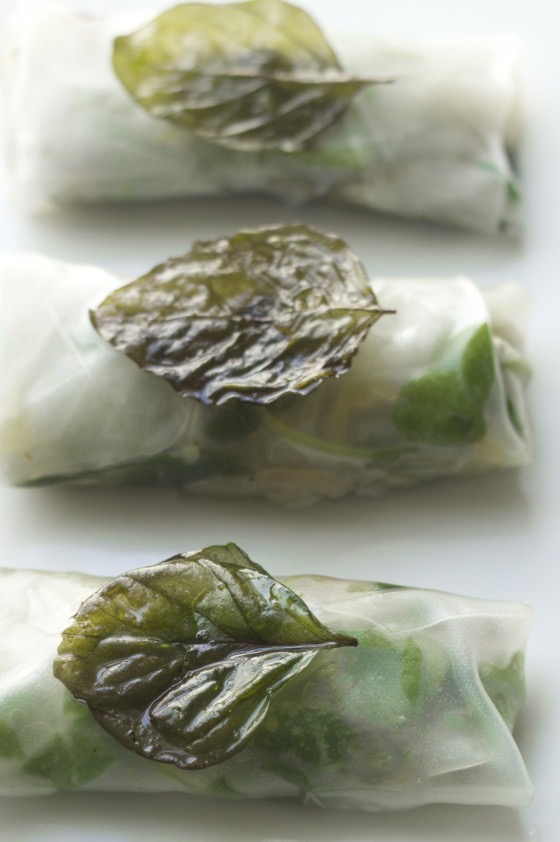 rice summer rolls with fried basil on white background