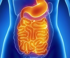 Histamine in Crohn’s, Ulcerative Colitis & Irritable Bowel