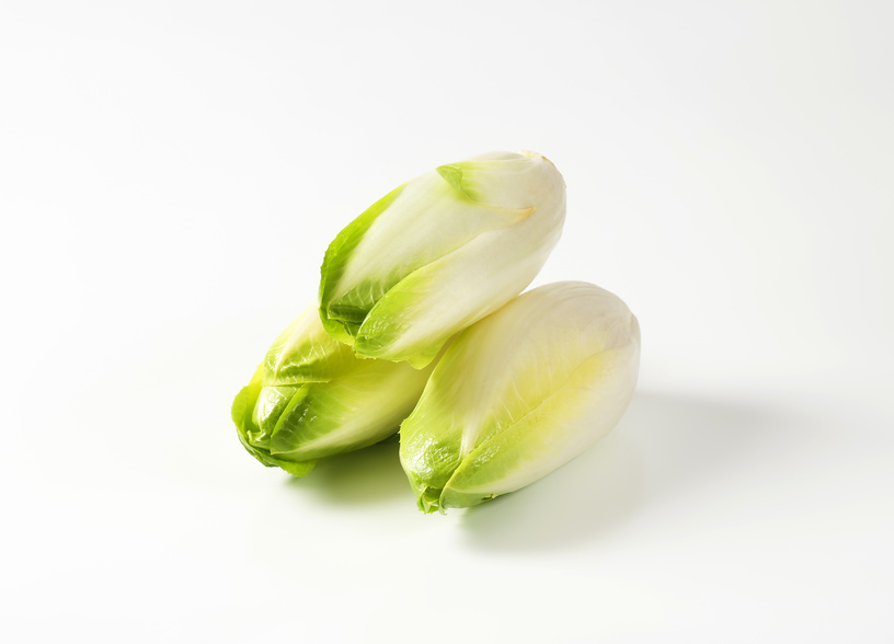 fresh Belgian endive heads (Witloof chicory)