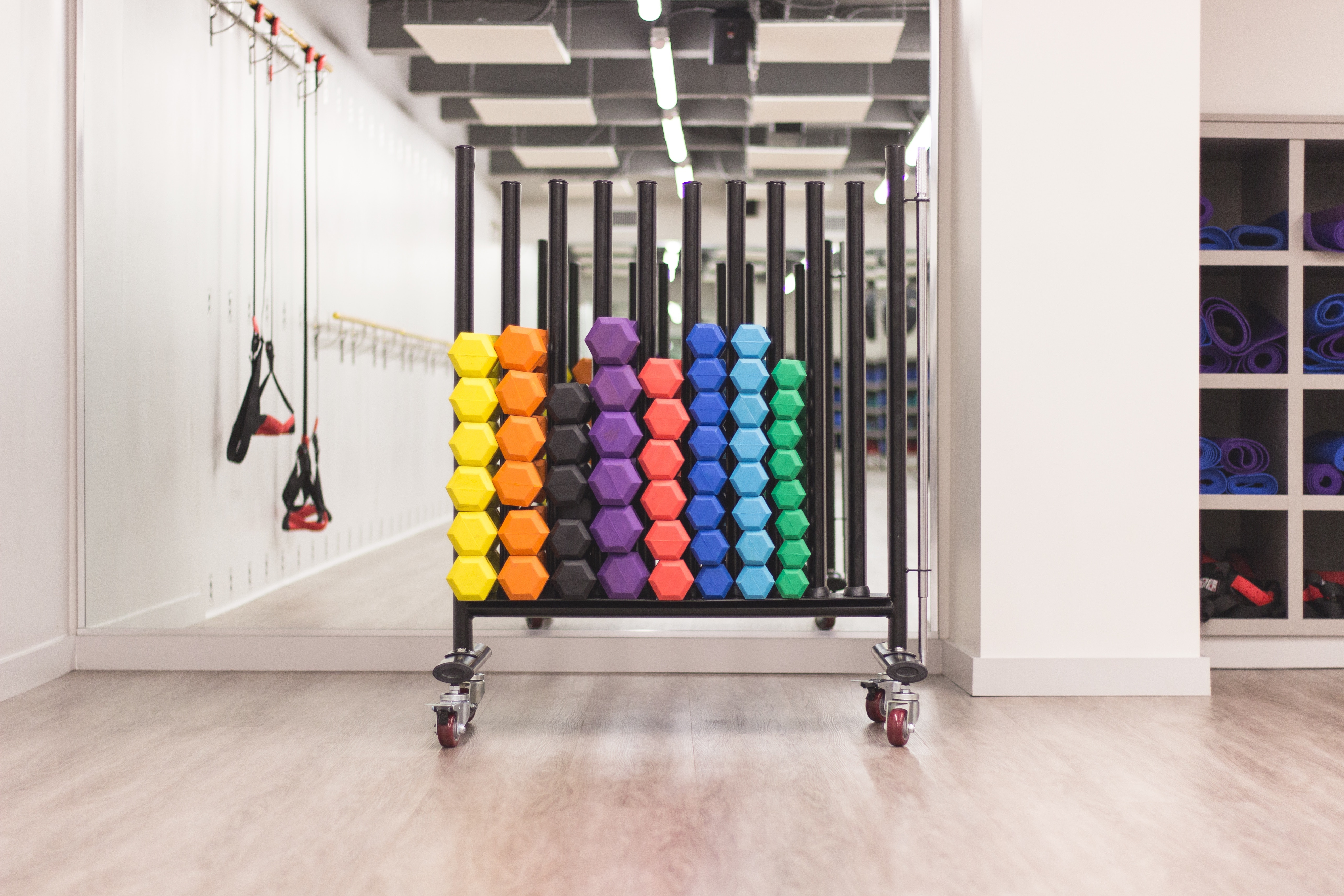 coloured barbells in a gym linking histamine to exercise