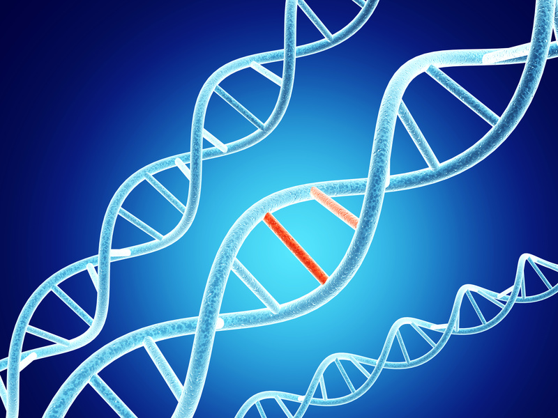 Digital models of DNA structure with problem element on abstract blue background. 3d render genetics of histamine intolerance